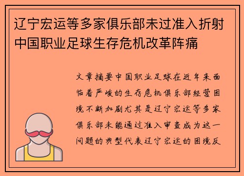 辽宁宏运等多家俱乐部未过准入折射中国职业足球生存危机改革阵痛