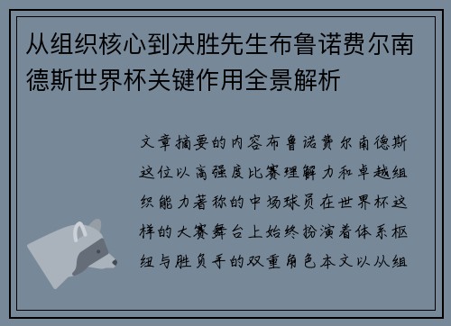 从组织核心到决胜先生布鲁诺费尔南德斯世界杯关键作用全景解析