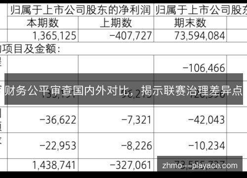 财务公平审查国内外对比，揭示联赛治理差异点